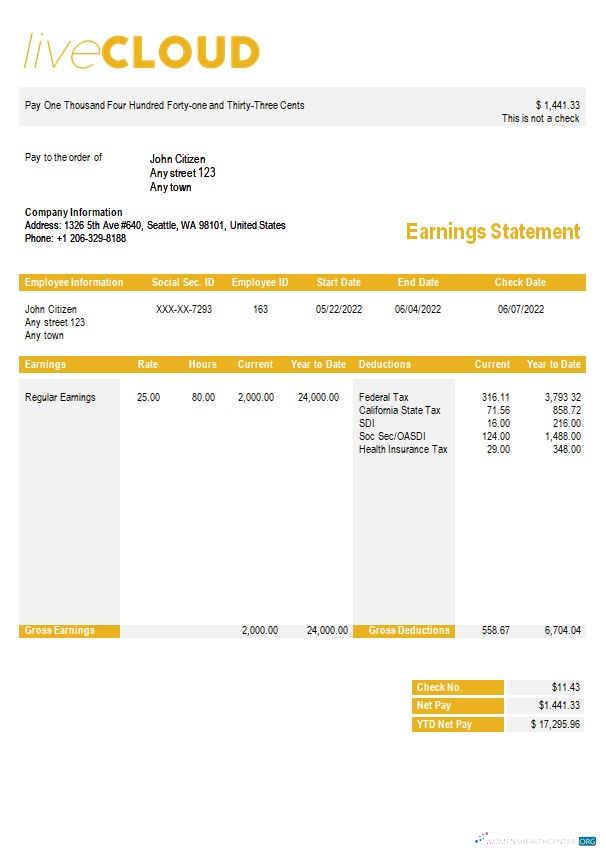 Download cloud storage paystub template in Word and PDf formats Photoshop template